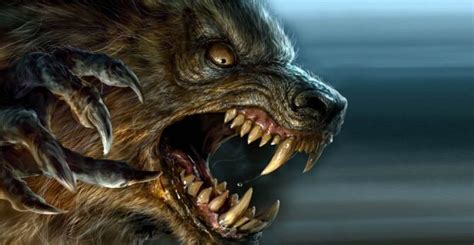 animal werewolf